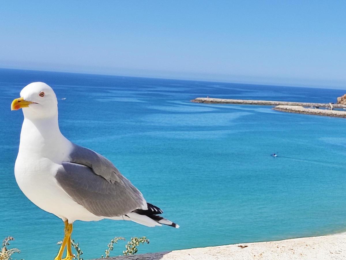 Alzira By Rossio Apartment Albufeira Ngoại thất bức ảnh